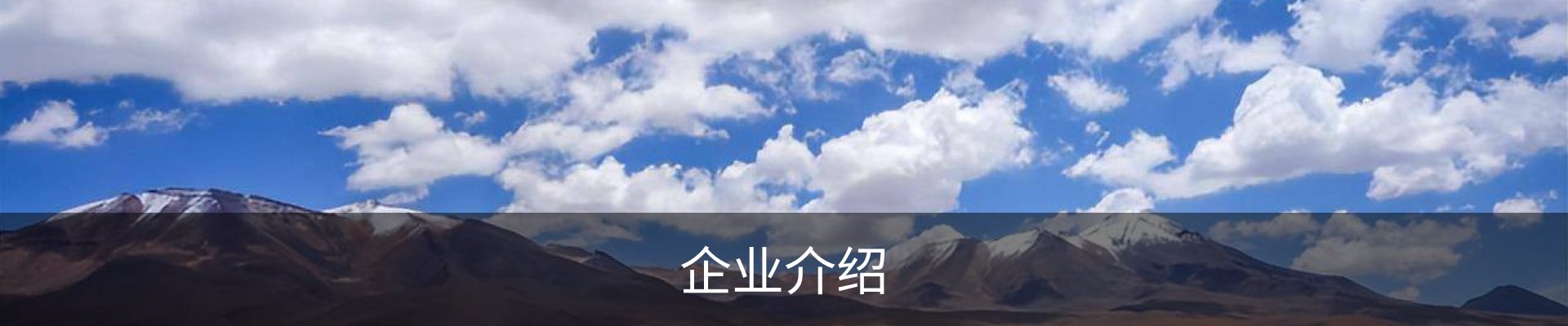 企业介绍