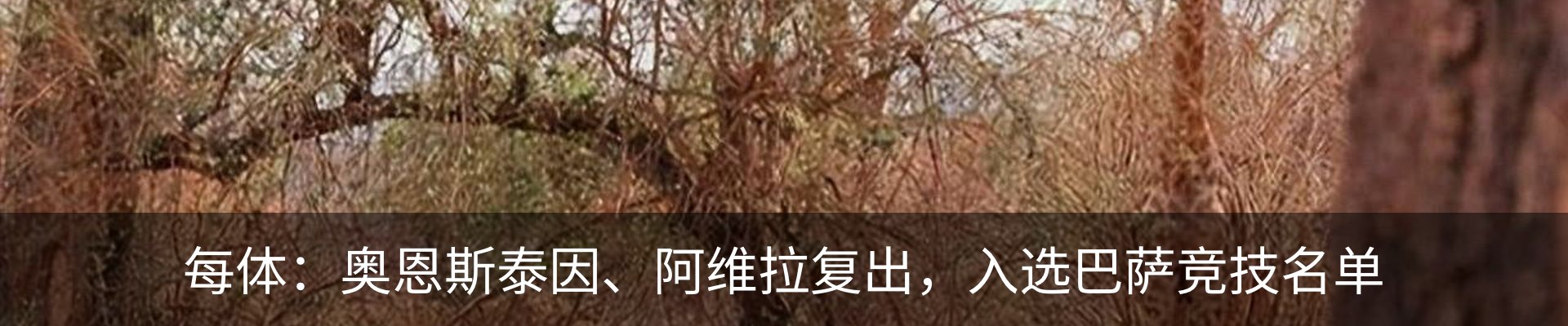 行业资讯