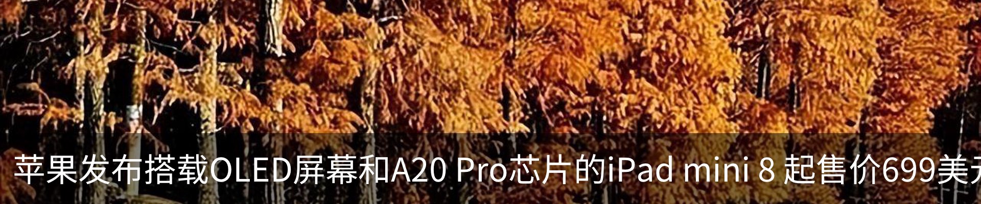 行业资讯